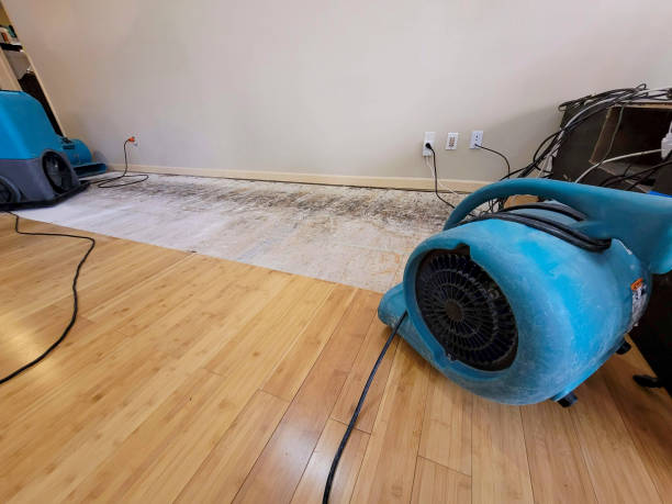 Professional Water Extraction technician working in Rochelle, VA